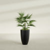 Brannan Medium Round Fiberglass Planter - 18 in x 18 in x 29 in - Matte Black - Matte Black,18 in x 18 in x 29 in
