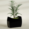 Seoul Extra Large Curved Abstract Fiberglass Planter - 48 in x 20 in x 36 in - Gloss Black - Gloss Black,48 in x 20 in x 36 in