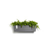 Manhattan Medium Rectangle Wall Planter - 21.75 in x 6.75 in x 6 in - Grey - Grey,21.75 in x 6.75 in x 6 in