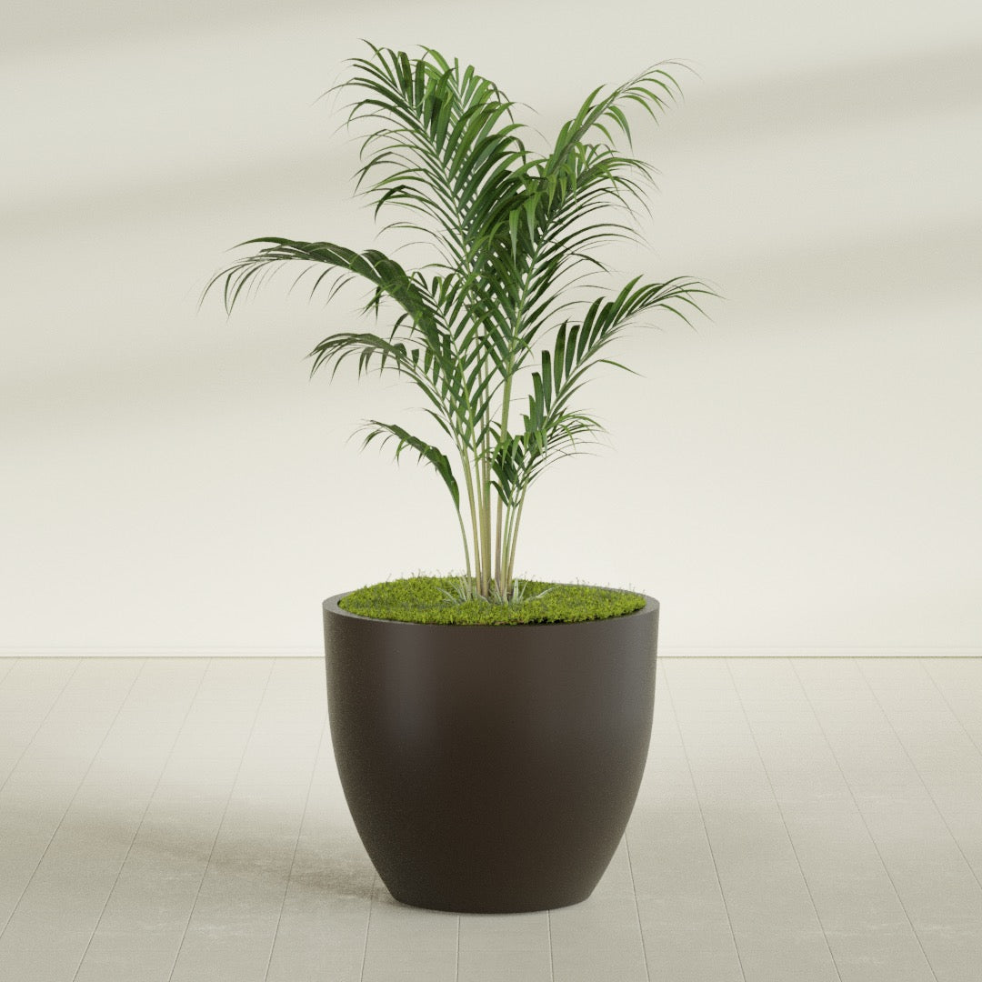 Wannsee Large Round Fiberglass Planter - 44 in x 44 in x 39 in - Matte Brown - Matte Brown,44 in x 44 in x 39 in