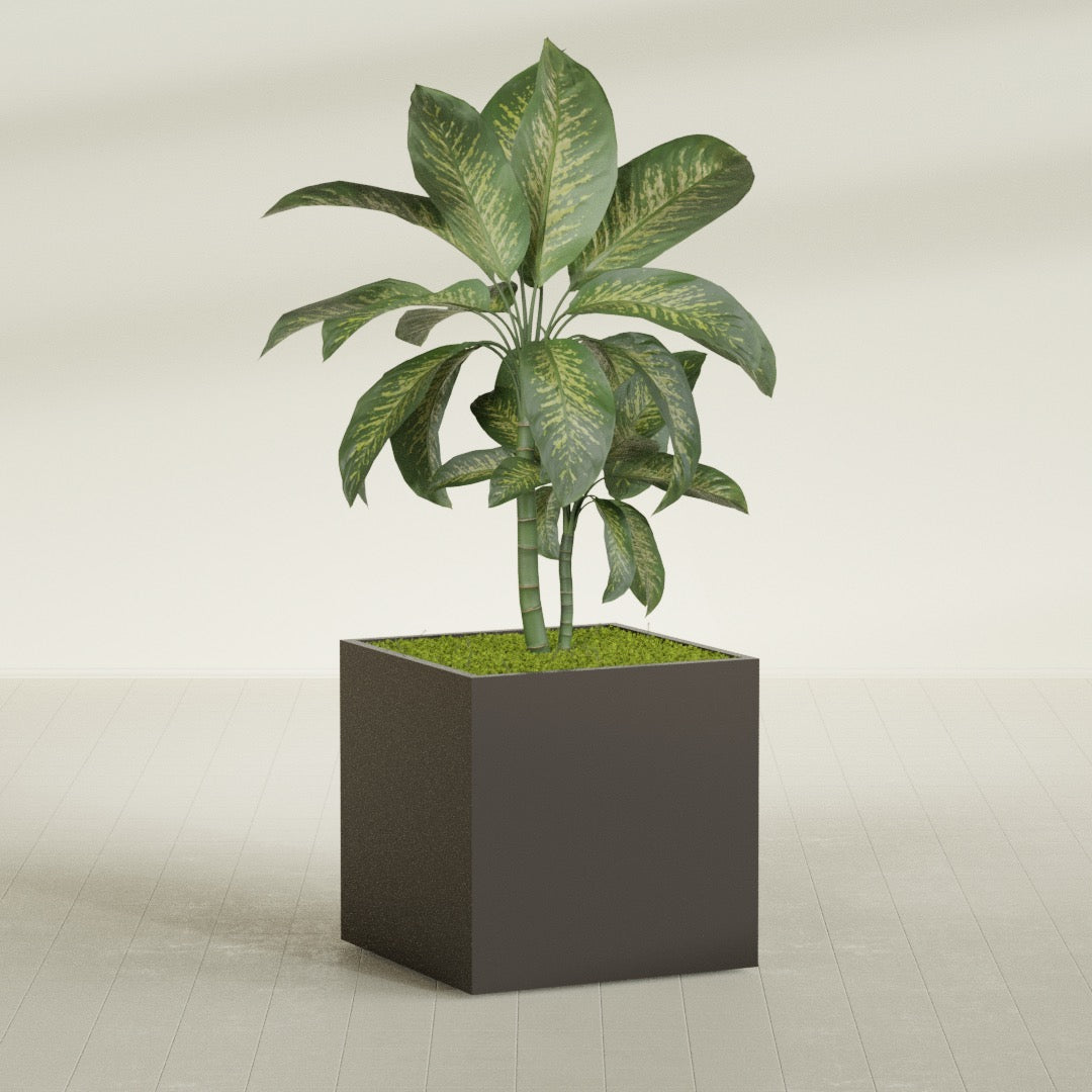 Montroy Large Cube Square Fiberglass Planter - 36 in x 36 in x 36 in - Matte Brown - Matte Brown,36 in x 36 in x 36 in