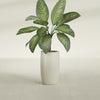 Lisbon Medium Round Fiberglass Planter - 14 in x 14 in x 25 in - Satin Beige - Satin Beige,14 in x 14 in x 25 in