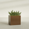 Brisbane Large Rectangle Fiberglass Planter - 36 in x 24 in x 32 in - Metallic Bronze - Metallic Bronze,36 in x 24 in x 32 in