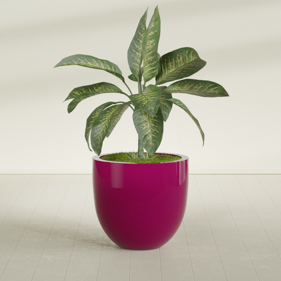 Alzira Large Round Fiberglass Planter - 30 in x 30 in x 28 in - Gloss Eggplant - Gloss Eggplant,30 in x 30 in x 28 in