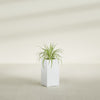 Hollywood Medium Rectangle Fiberglass Planter - 12 in x 12 in x 24 in - Gloss White - Gloss White,12 in x 12 in x 24 in