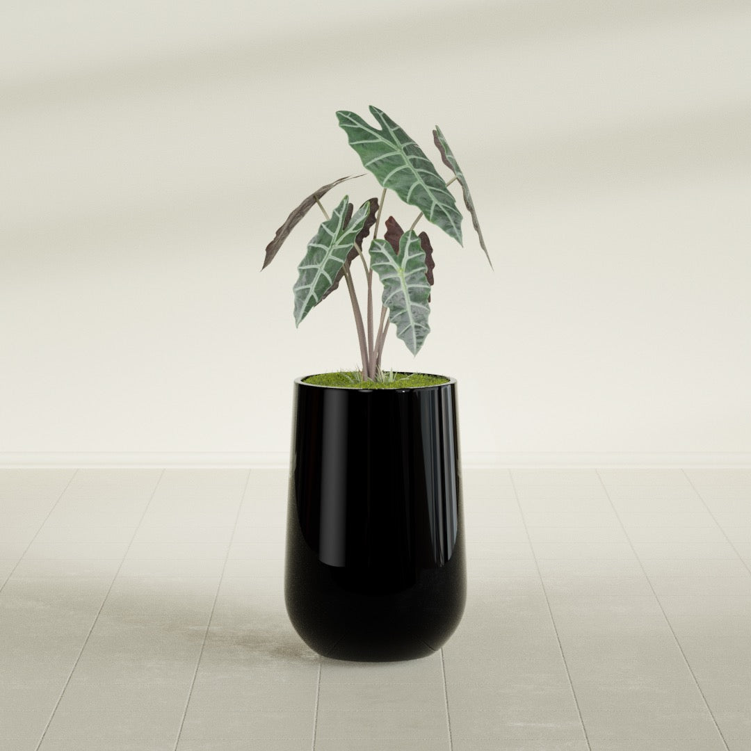 Tall Hayden Medium Round Fiberglass Planter - 12 in x 12 in x 20 in - Gloss Black - Gloss Black,12 in x 12 in x 20 in