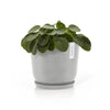 Small Round Saucer - 11.5 in x 11.5 in x 1.3 in - White Grey - White Grey,11.5 in x 11.5 in x 1.25 in