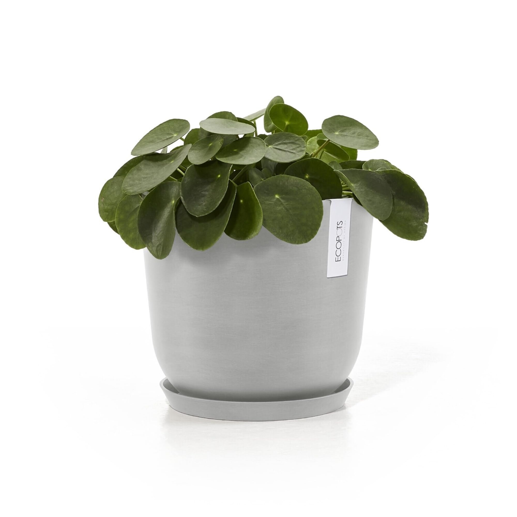 Small Round Saucer - 11.5 in x 11.5 in x 1.3 in - White Grey - White Grey,11.5 in x 11.5 in x 1.25 in