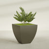 Lima Large Tapered Square Fiberglass Planter - 30 in x 30 in x 30 in - Matte Bronze - Matte Bronze,30 in x 30 in x 30 in