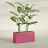 Tolga Extra Large Long Rectangle Fiberglass Planter - 48 in x 16 in x 24 in - Gloss Pink Violet - Gloss Pink Violet,48 in x 16 in x 24 in