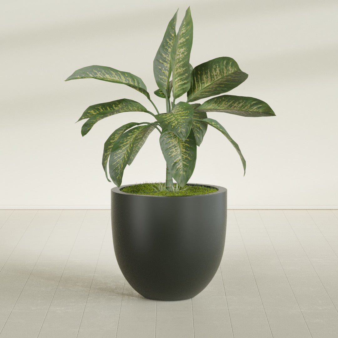 Alzira Large Round Fiberglass Planter - 30 in x 30 in x 28 in - Matte Charcoal - Matte Charcoal,30 in x 30 in x 28 in