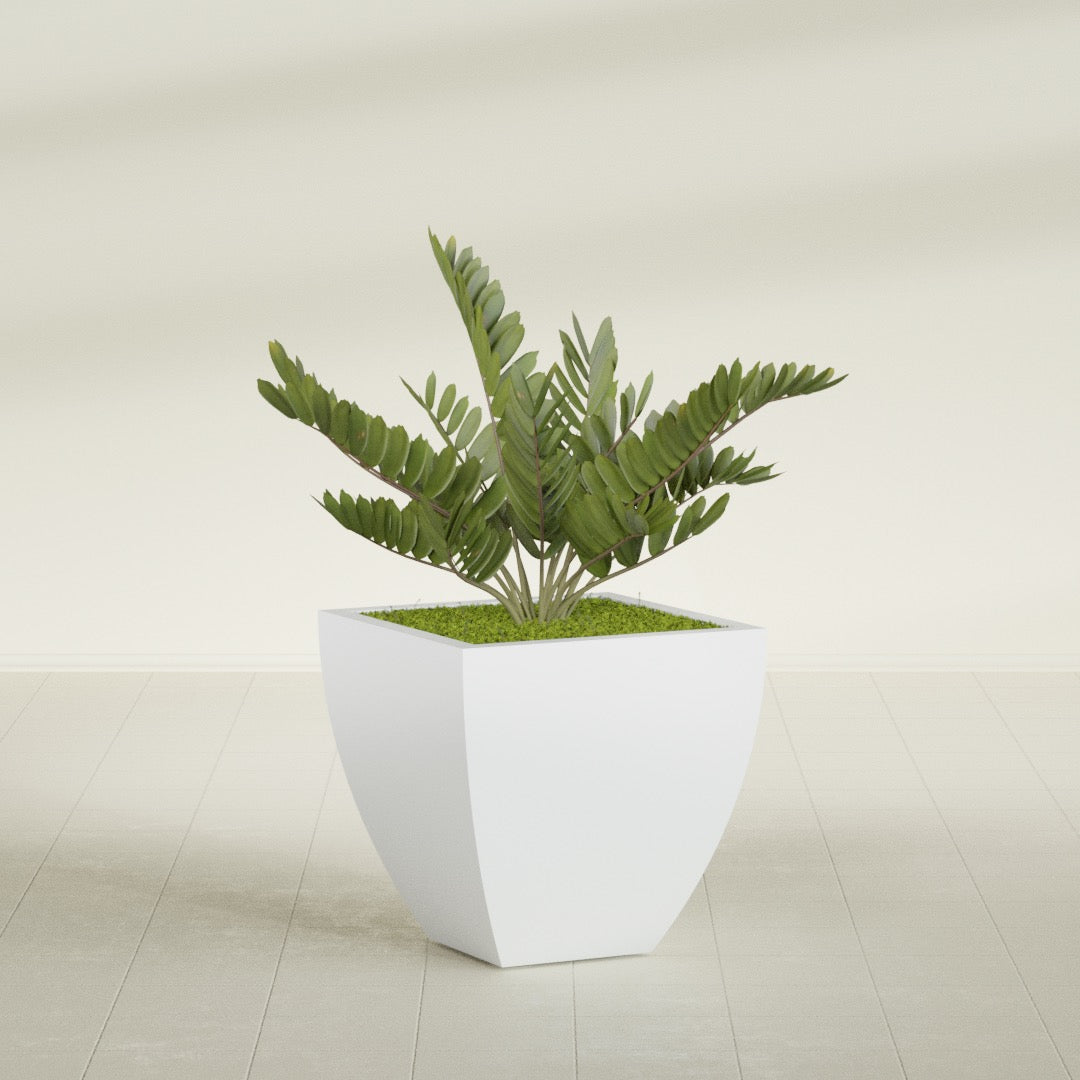 Lima Medium Tapered Square Fiberglass Planter - 24 in x 24 in x 24 in - Gloss White - Gloss White,24 in x 24 in x 24 in