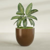 Alzira Large Round Fiberglass Planter - 36 in x 36 in x 34 in - Metallic Bronze - Metallic Bronze,36 in x 36 in x 34 in