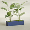 Cuba Large Long Rectangle Fiberglass Planter - 48 in x 14 in x 12 in - Matte Cobalt Blue - Matte Cobalt Blue,48 in x 14 in x 12 in