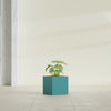 Monaco Square - 7in x 7in x 7 - Satin Sea Foam - Satin Sea Foam,7 in x 7 in x 7 in