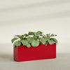 Miami Extra Large Narrow Rectangle Fiberglass Planter - 48 in x 12 in x 18 in - Gloss Red - Gloss Red,48 in x 12 in x 18 in