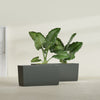 Panama Large Long Rectangle Fiberglass Planter - 36 in x 12 in x 18 in - Matte Charcoal - Matte Charcoal,36 in x 12 in x 18 in