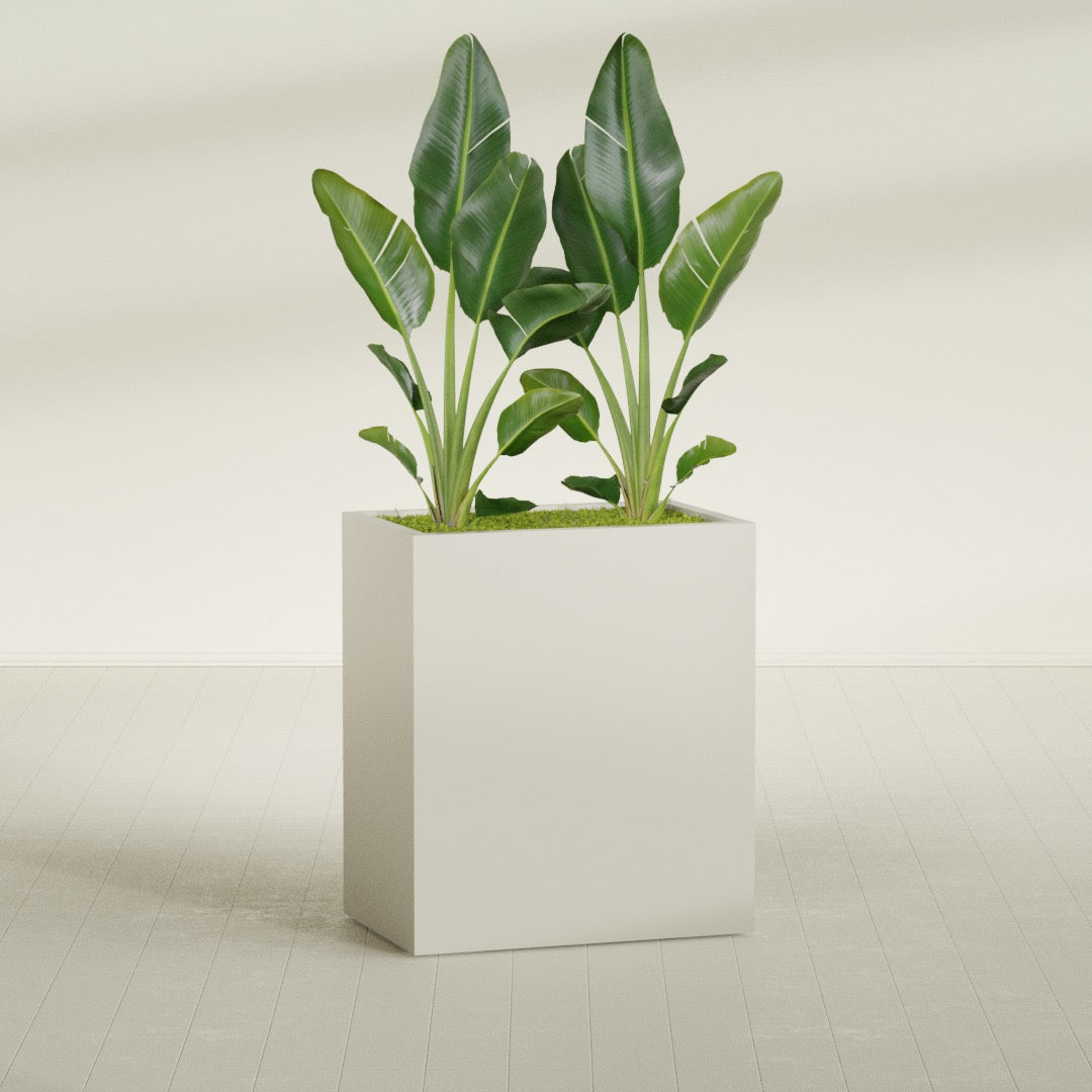 Darwin Large Rectangle Fiberglass Planter - 36 in x 24 in x 42 in - Satin Beige - Satin Beige,36 in x 24 in x 42 in