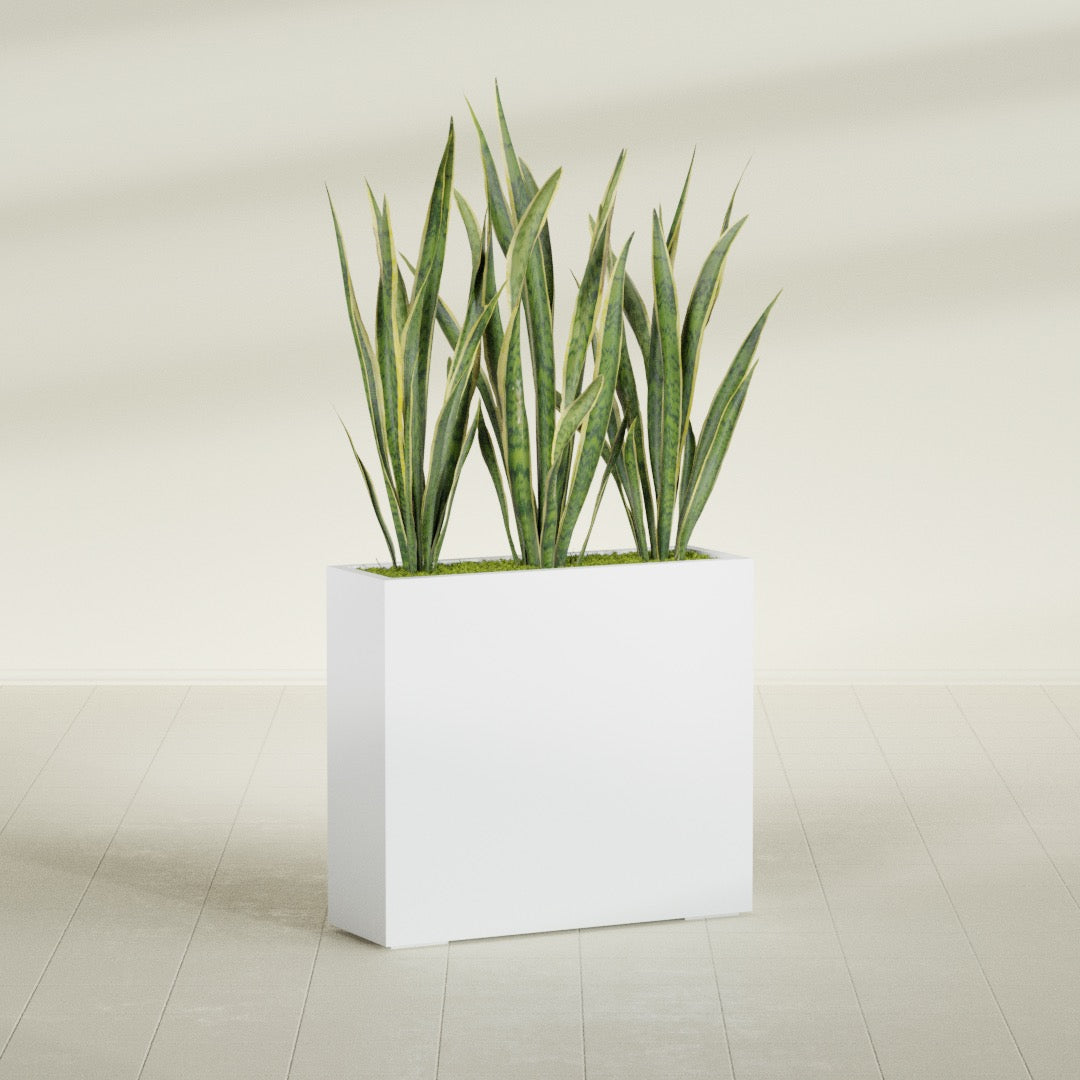 Delray Large Tall Rectangle Fiberglass Planter - 36 in x 12 in x 32 in - Gloss White - Gloss White,36 in x 12 in x 32 in