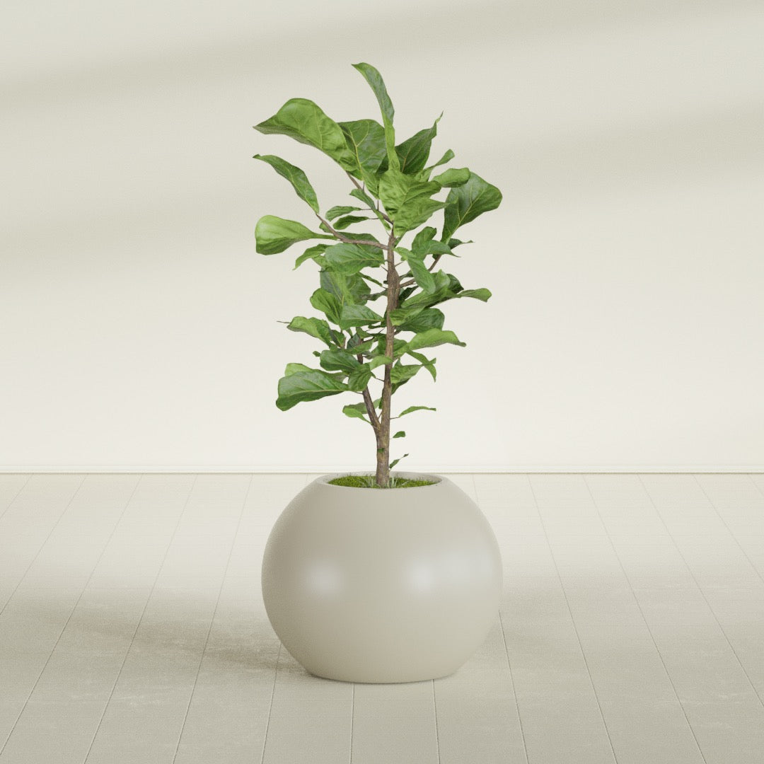 Globe Medium Sphere Fiberglass Planter - 24 in x 24 in x 19 in - Satin Beige - Satin Beige,24 in x 24 in x 20 in