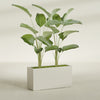 Tolga Extra Large Long Rectangle Fiberglass Planter - 48 in x 16 in x 24 in - Satin Beige - Satin Beige,48 in x 16 in x 24 in
