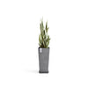 Rotterdam Medium Tall Square Planter - 12.6 in x 12.6 in x 27.5 in - Planter + Saucer - Grey - Grey,12.5 in x 12.5 in x 27.5 in,Planter + Saucer