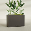Darwin Extra Large Long Rectangle Fiberglass Planter - 60 in x 24 in x 42 in - Matte Brown - Matte Brown,60 in x 24 in x 42 in