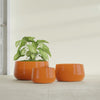 Short Hayden Small Round Fiberglass Planter - 12 in x 12 in x 7 in - Gloss Tangerine - Gloss Tangerine,12 in x 12 in x 7 in