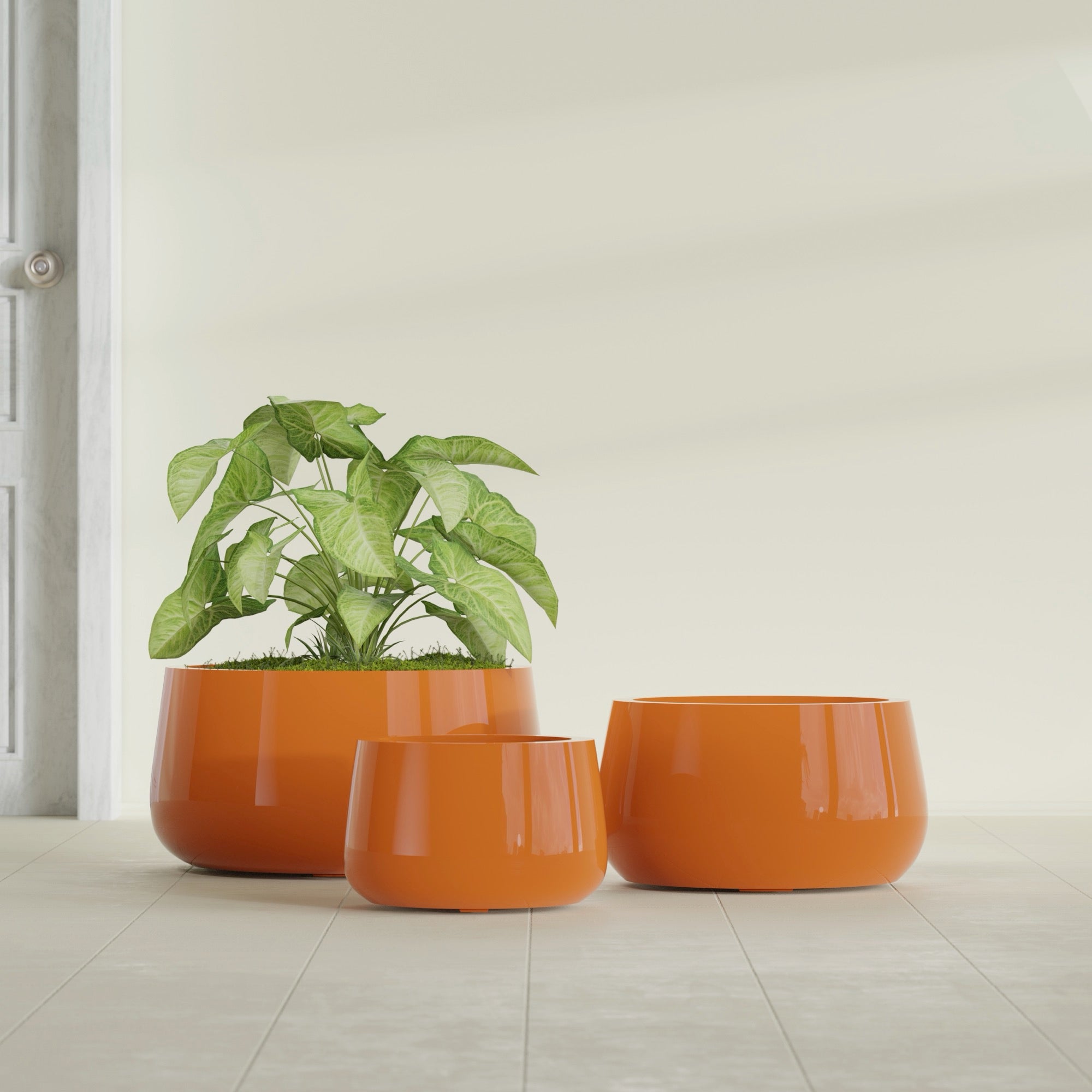 Short Hayden Small Round Fiberglass Planter - 12 in x 12 in x 7 in - Gloss Tangerine - Gloss Tangerine,12 in x 12 in x 7 in