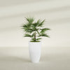 Brannan Medium Round Fiberglass Planter - 18 in x 18 in x 29 in - Gloss White - Gloss White,18 in x 18 in x 29 in