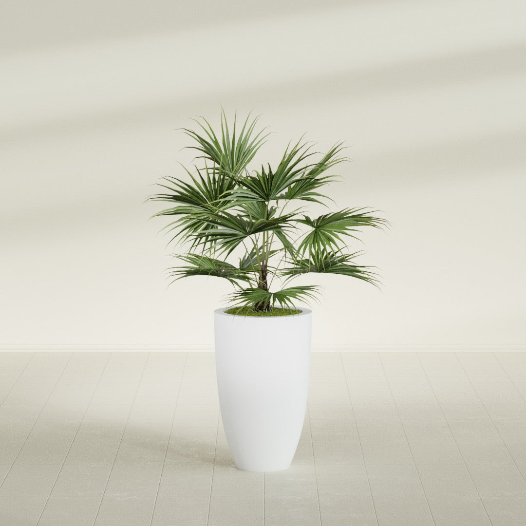 Brannan Medium Round Fiberglass Planter - 18 in x 18 in x 29 in - Gloss White - Gloss White,18 in x 18 in x 29 in