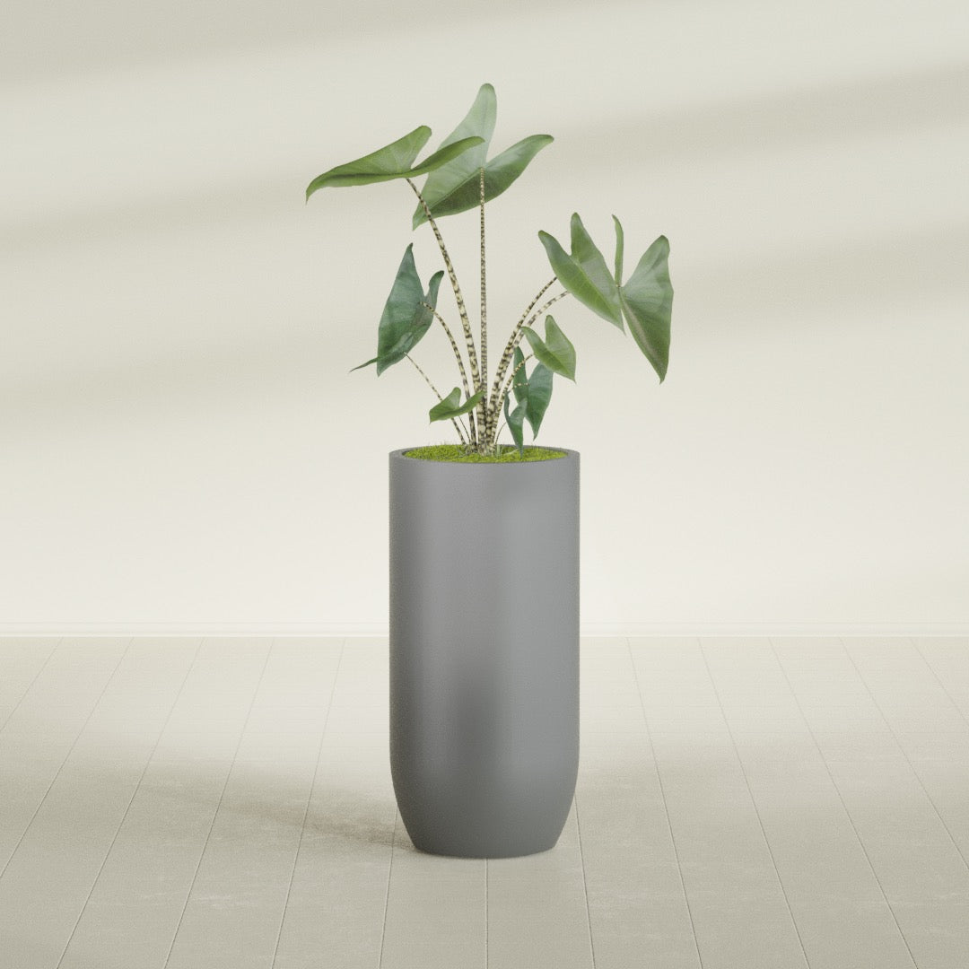 Saint Tropez Extra Large Tall Round Fiberglass Planter - 24 in x 24 in x 50 in - Metallic Gunmetal - Metallic Gunmetal,24 in x 24 in x 50 in