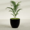 Wannsee Large Round Fiberglass Planter - 39 in x 39 in x 34 in - Gloss Black - Gloss Black,39 in x 39 in x 34 in