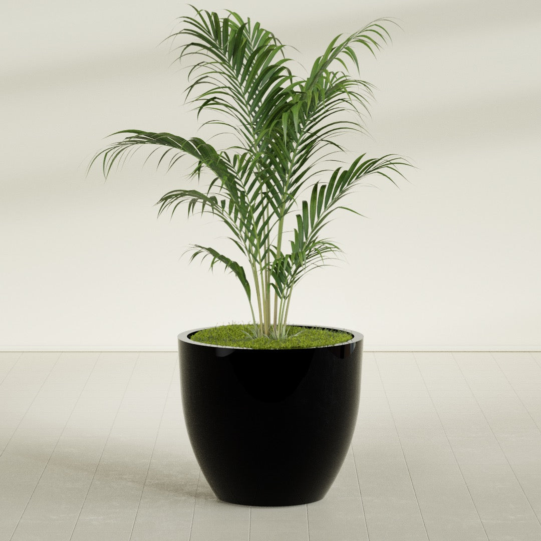 Wannsee Large Round Fiberglass Planter - 39 in x 39 in x 34 in - Gloss Black - Gloss Black,39 in x 39 in x 34 in