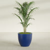 Wannsee Large Round Fiberglass Planter - 33 in x 33 in x 29 in - Matte Cobalt Blue - Matte Cobalt Blue,33 in x 33 in x 29 in