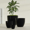 Wannsee Extra Large Round Fiberglass Planter - 50 in x 50 in x 44 in - Gloss Black - Gloss Black,50 in x 50 in x 44 in