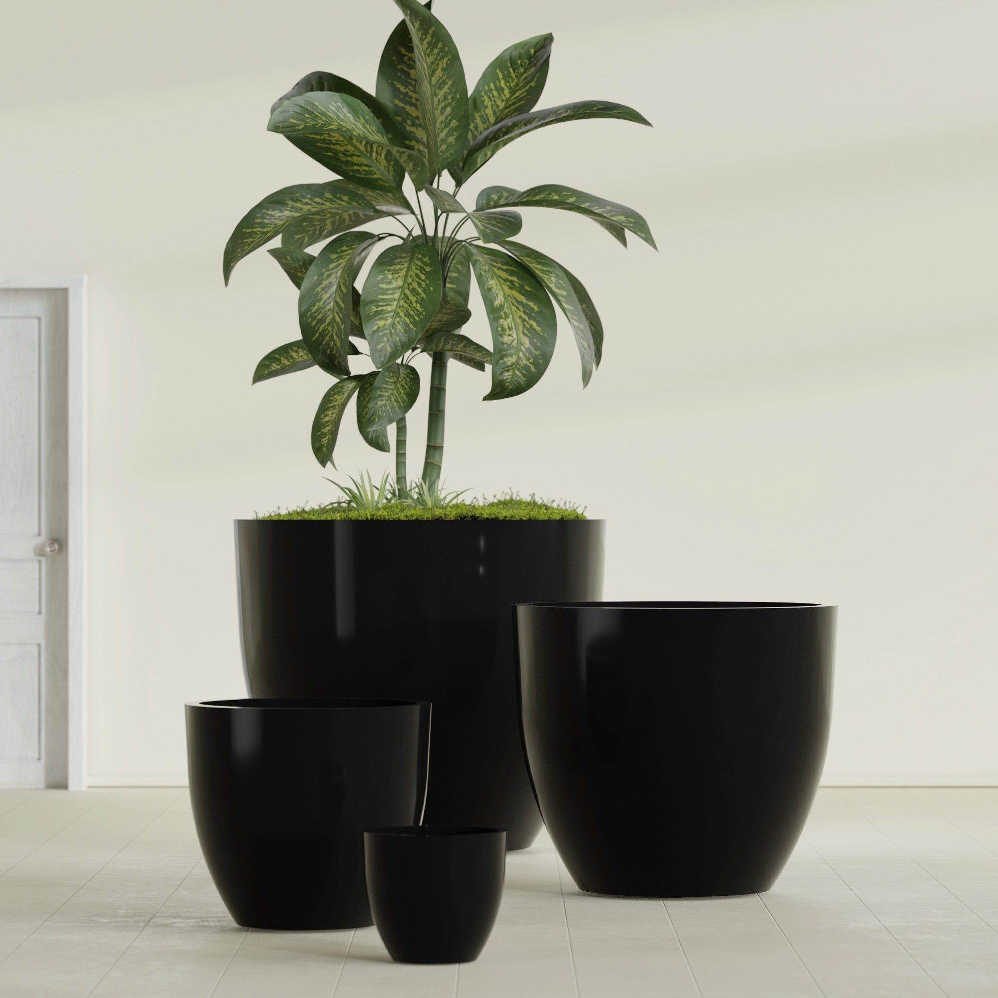 Wannsee Extra Large Round Fiberglass Planter - 50 in x 50 in x 44 in - Gloss Black - Gloss Black,50 in x 50 in x 44 in