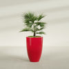 Brannan Large Round Fiberglass Planter - 24 in x 24 in x 35 in - Gloss Red - Gloss Red,24 in x 24 in x 35 in