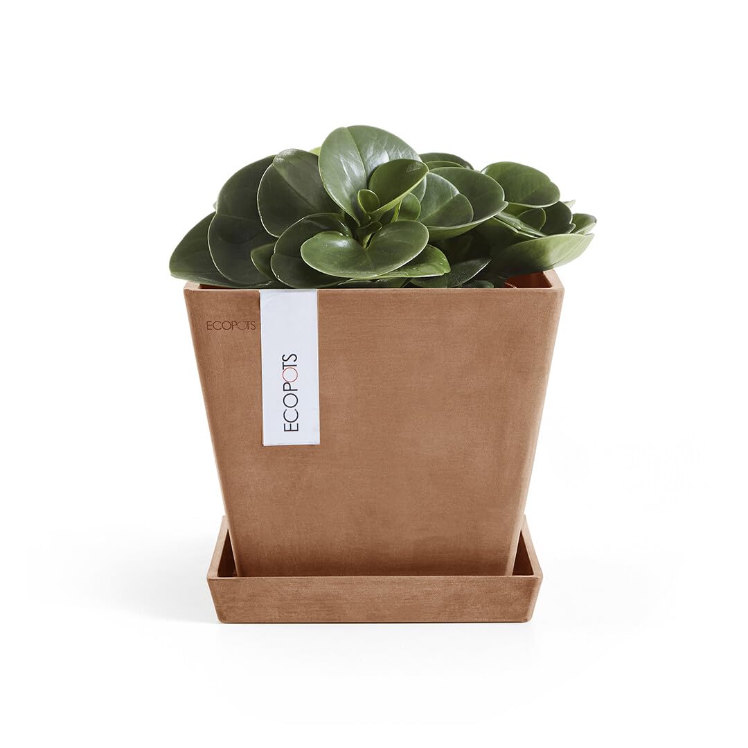 Small Square Saucer - 7 in x 7 in x 1 in - Terracotta - Terracotta,7 in x 7 in x 1 in