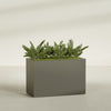 Brisbane Extra Large Long Rectangle Fiberglass Planter - 48 in x 24 in x 32 in - Matte Bronze - Matte Bronze,48 in x 24 in x 32 in