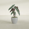 Wannsee Medium Round Fiberglass Planter - 22 in x 22 in x 19 in - Metallic Silver - Metallic Silver,22 in x 22 in x 19 in