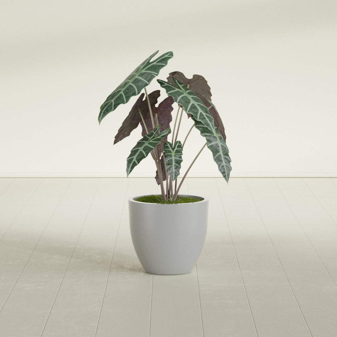 Wannsee Medium Round Fiberglass Planter - 22 in x 22 in x 19 in - Metallic Silver - Metallic Silver,22 in x 22 in x 19 in