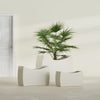 Seoul Large Curved Abstract Fiberglass Planter - 36 in x 16 in x 24 in - Satin Beige - Satin Beige,36 in x 16 in x 24 in
