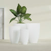 Brannan Large Round Fiberglass Planter - 30 in x 30 in x 41 in - Matte White - Matte White,30 in x 30 in x 41 in