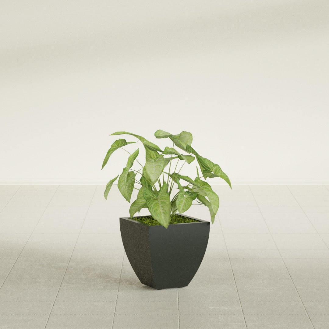 Lima Small Tapered Square Fiberglass Planter - 12 in x 12 in x 12 in - Matte Charcoal - Matte Charcoal,12 in x 12 in x 12 in