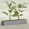 Cuba Extra Large Long Rectangle Fiberglass Planter - 72 in x 14 in x 12 in - Metallic Gunmetal - Metallic Gunmetal,72 in x 14 in x 12 in
