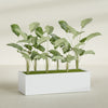 Torino Extra Large Wide Rectangle Fiberglass Planter - 60 in x 24 in x 18 in - Gloss White - Gloss White,60 in x 24 in x 18 in