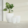 Valencia Medium Round Fiberglass Planter - 20 in x 20 in x 23 in - Gloss White - Gloss White,20 in x 20 in x 23 in