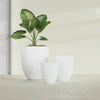 Valencia Large Round Fiberglass Planter - 27 in x 27 in x 31 in - Gloss White - Gloss White,27 in x 27 in x 31 in