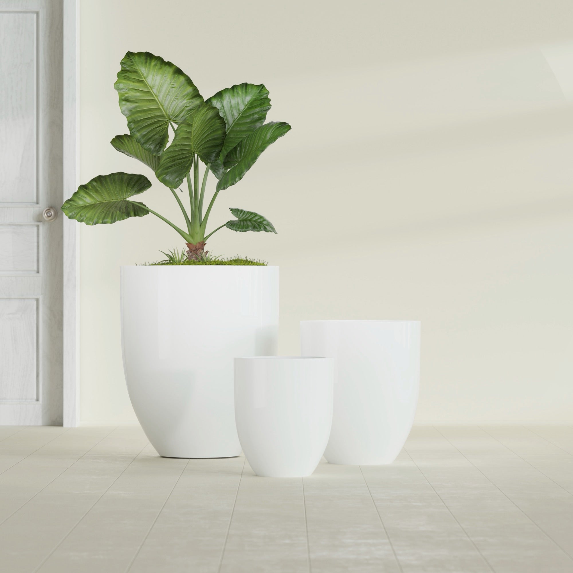 Valencia Large Round Fiberglass Planter - 27 in x 27 in x 31 in - Gloss White - Gloss White,27 in x 27 in x 31 in